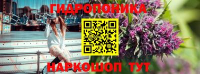 apvp Гусиноозёрск